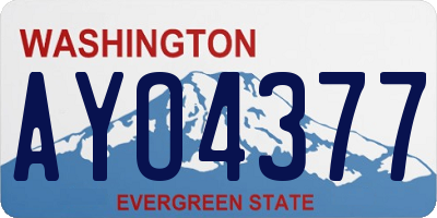 WA license plate AYO4377