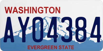 WA license plate AYO4384