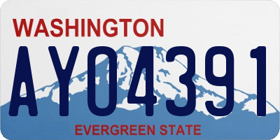 WA license plate AYO4391