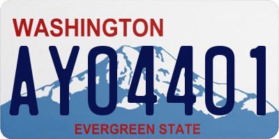 WA license plate AYO4401