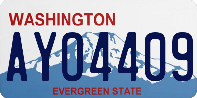 WA license plate AYO4409