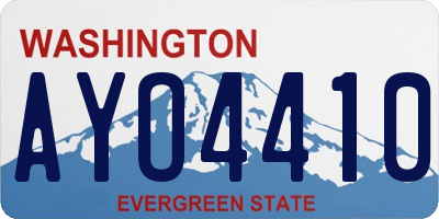 WA license plate AYO4410