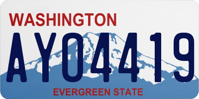 WA license plate AYO4419
