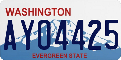 WA license plate AYO4425