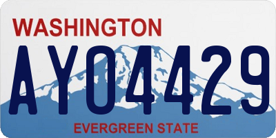 WA license plate AYO4429