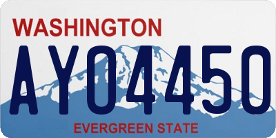 WA license plate AYO4450