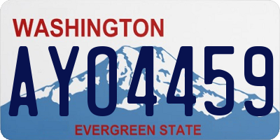 WA license plate AYO4459