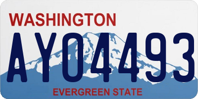 WA license plate AYO4493
