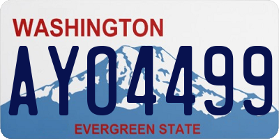 WA license plate AYO4499