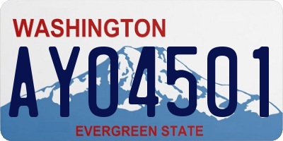 WA license plate AYO4501