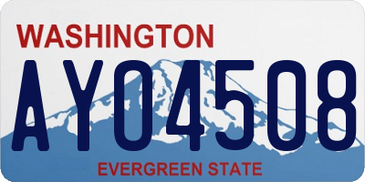 WA license plate AYO4508