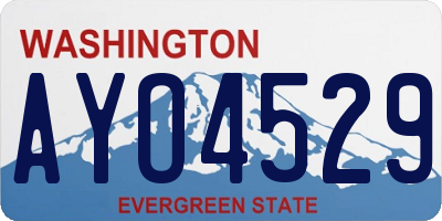 WA license plate AYO4529