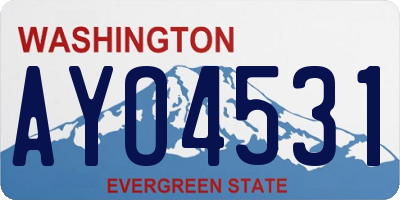 WA license plate AYO4531