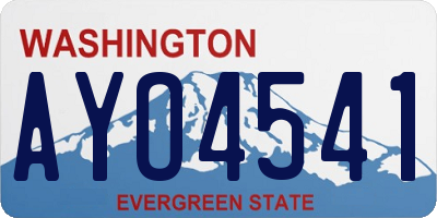 WA license plate AYO4541