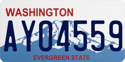 WA license plate AYO4559