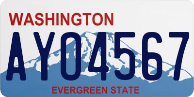 WA license plate AYO4567
