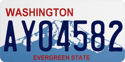 WA license plate AYO4582