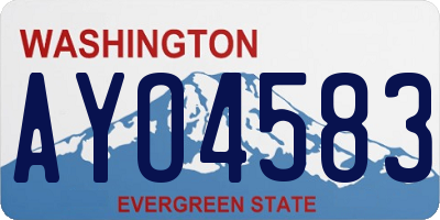 WA license plate AYO4583