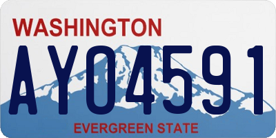 WA license plate AYO4591