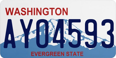WA license plate AYO4593