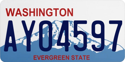 WA license plate AYO4597
