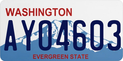 WA license plate AYO4603