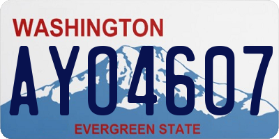 WA license plate AYO4607