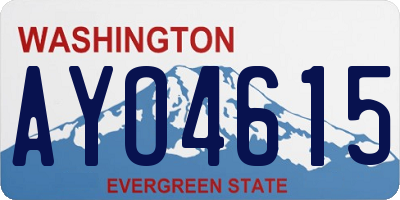 WA license plate AYO4615