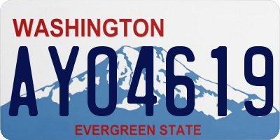 WA license plate AYO4619