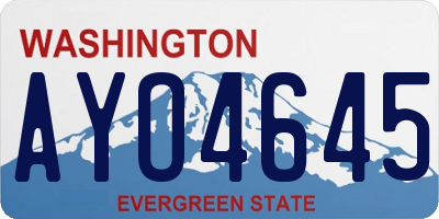 WA license plate AYO4645