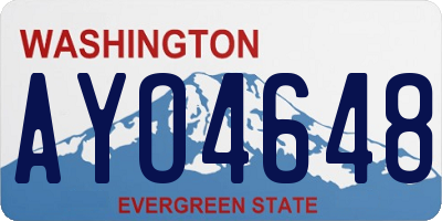 WA license plate AYO4648
