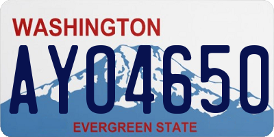 WA license plate AYO4650