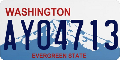 WA license plate AYO4713