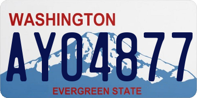 WA license plate AYO4877