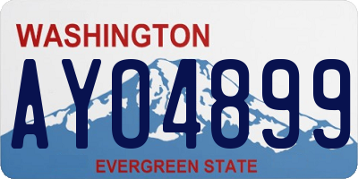 WA license plate AYO4899