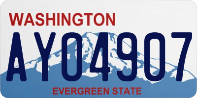 WA license plate AYO4907