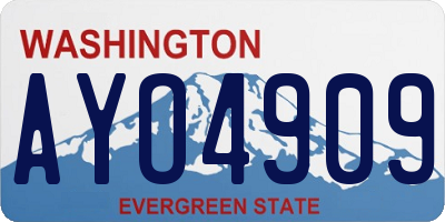 WA license plate AYO4909