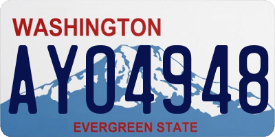 WA license plate AYO4948