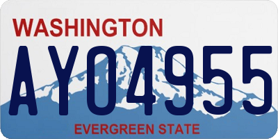 WA license plate AYO4955