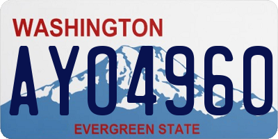 WA license plate AYO4960