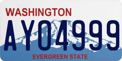 WA license plate AYO4999