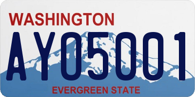 WA license plate AYO5001