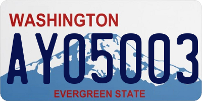 WA license plate AYO5003