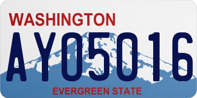 WA license plate AYO5016