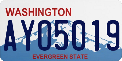 WA license plate AYO5019