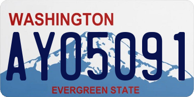 WA license plate AYO5091