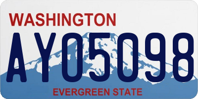 WA license plate AYO5098