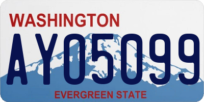 WA license plate AYO5099