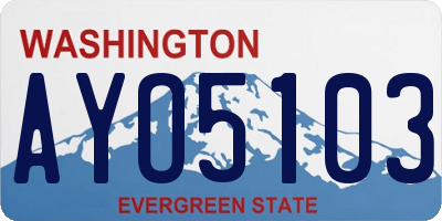 WA license plate AYO5103