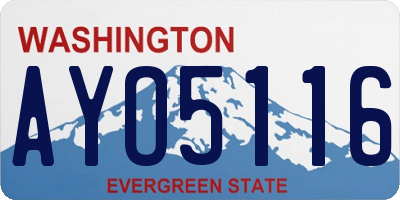 WA license plate AYO5116